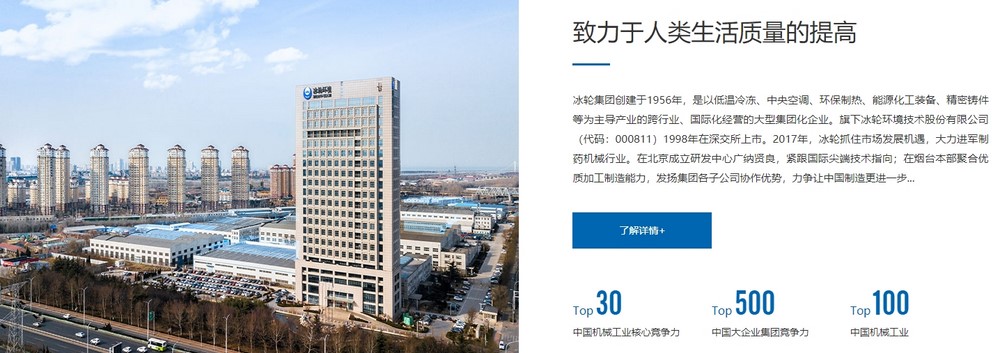 网站设计,网站设计公司